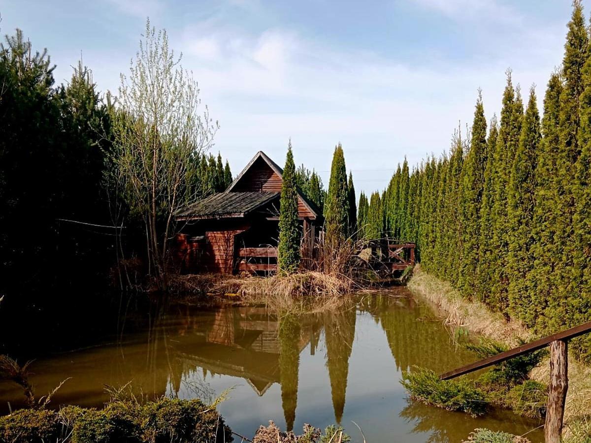 Dwor Na Otulinie Villa Bialowieza Exterior photo